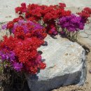 경북미용예술고등학교 이미지