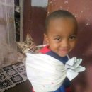 상인형제 이미지