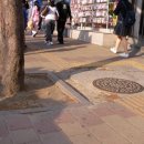 상원초교 이미지