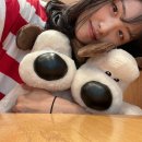 뽕 인형뽑기 이미지