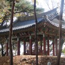 대지-걷기 이미지