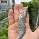 예림수산 이미지