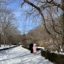 아이와 함께 경상북도수목원 눈 온 후 풍경❄️☃️