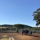 서우목장 이미지