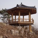 정자