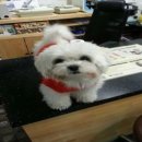 우주동물병원 이미지