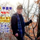 신년 해맞이 이미지