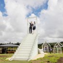 드르쿰다 이미지