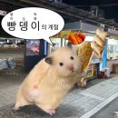 동춘한의원 | 10월 보내기 준비 못했어요 각오해라