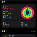 7번가피자 (풍암점) 이미지