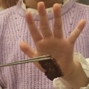 팔용고기 이미지