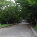 인천지방경찰청 앞 이미지