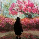 소나무숲 | [경기 광주] 곤지암 화담숲&amp;화담채,자작나무 숲, 소나무 정원🍁🍂🌳🌲 후기