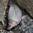 양화주유소 이미지