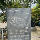 개화 - 서구 달구벌대로337길 5 | 함안 고려동유적지 배롱나무 실시간 개화 후기