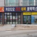 팔마카오디오 이미지