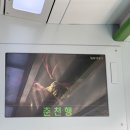 춘천서부시장 | 용산에서 춘천 당일치기 뚜벅이 여행 코스 추천