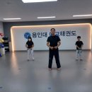 용인대 정도태권도장 이미지