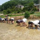 남이초등학교 중부매일