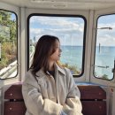 해운대블루라인(주)청사포정거장 | 부산 여행 필수 코스 해운대블루라인파크 스카이캡슐, 해변열차 후기 미포-&gt;청사포 정거장