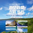 레슨인포