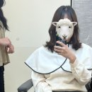 강동-길동-189 | [길동역] 버디터 길동점 - 1:1 프라이빗 룸 시술 길동 미용실 추천후기