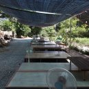 마곡사 가는길 민박 이미지