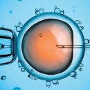 남성냉동 이미지