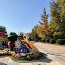 국화전시회 버스킹 문화공연 | 평화공원 국화 전시회