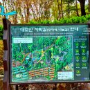 일원장미공원 화장실 네이버블로그