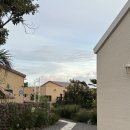 하소재 제주 | 숙소추천 :: 하소재 제주|제주 서쪽 숙소 추천|수영장 독채 펜션|감성 독채 숙소