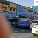 건양대네거리 이미지