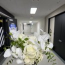 데이지 | [후기] 수원 인계동 부케말리기 부케기프트 추천 맛집 데이지핑크 내돈내산 후기