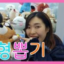 TOY인형뽑기 이미지