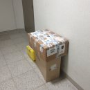 어인목장 | 캠핑에서 미군침낭으로 존재감을 뽐내보자 : Tennier MSS 구입기