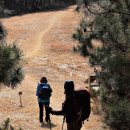 청포마을 이미지