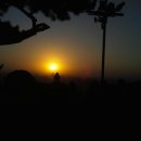 정조농장 이미지