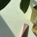 주식회사 헬리오드