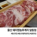 돼지영농후계자 | 울산 달동 꼬들목살 맛집 돼지영농후계자 달동점 후기