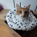 홈패션(오전) 이미지