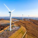 청옥목장 이미지