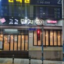 고고돼지 이미지