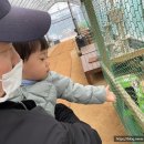 바람난꼬꼬닭 네이버블로그