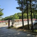 중앙공원 주차장정문 이미지