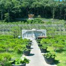 인목이네목장 | 무량수목장에서의 마지막 여정 자연 속에서 평온하게