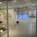 세경약국 이미지