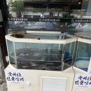수문통숯불민물장어 이미지