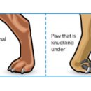 청라호수동물메디컬센터 이미지