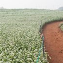 9단지 경로당 이미지