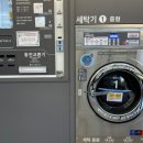 워시팡팡셀프빨래방원천점